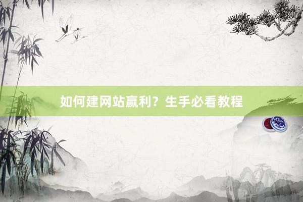 如何建网站赢利？生手必看教程
