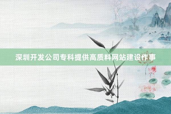 深圳开发公司专科提供高质料网站建设作事