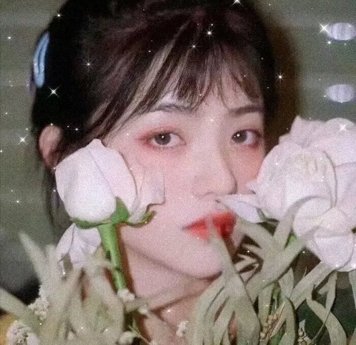 报仇雪恨